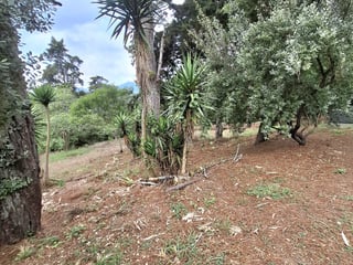 Terreno en Venta en Zona 16 El Pulté Guatemala - 3