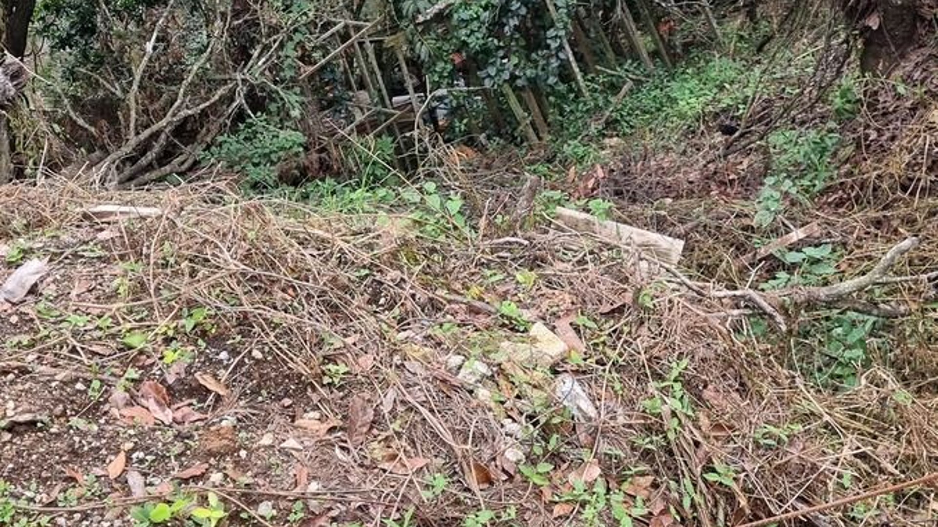 TERRENO EN VENTA EN LA MONTAÑA ZONA 16 - Miniatura 7