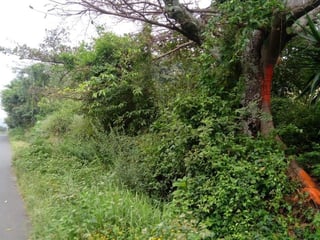 Terreno en VENTA en  Km. 46.5 Villa Canales, - Image 3