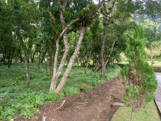 Terreno en Venta KM. 10.5 Carretera el Salvador - 2