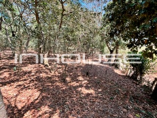 TERRENO EN VENTA EN SANTA ELENA BARILLAS - Image 6