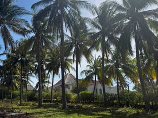 LA BARRITA, MOYUTA | FRENTE AL MAR | TERRENO EN VENTA - 5