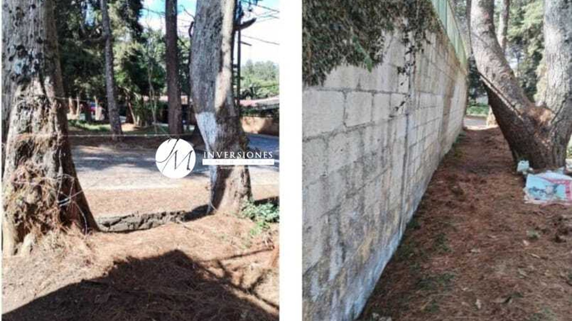 Terreno en Venta Dentro de Condominio - Miniatura 2