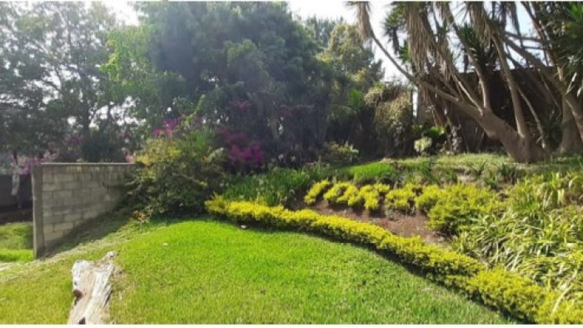 Finca en Venta en Fraijanes Guatemala - Miniatura 9