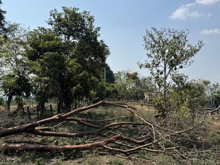 Ideal DESARROLLO/ Terreno en Venta Km 25.5 CES - 5