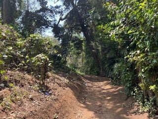 SANTA ELENA BARILLAS / Terreno en Venta - 2