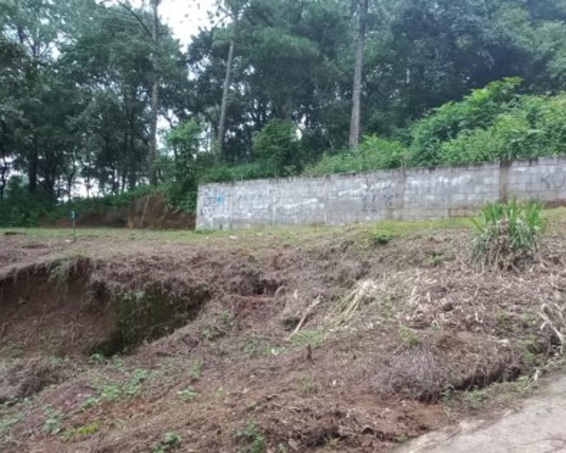 Terreno en venta en el Encinal Tronco 2