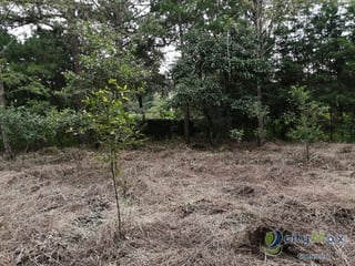 Terreno En Venta, en Santo Domingo Xenacoj - 4
