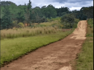Terrenos para Vivienda en San Raymundo - 4