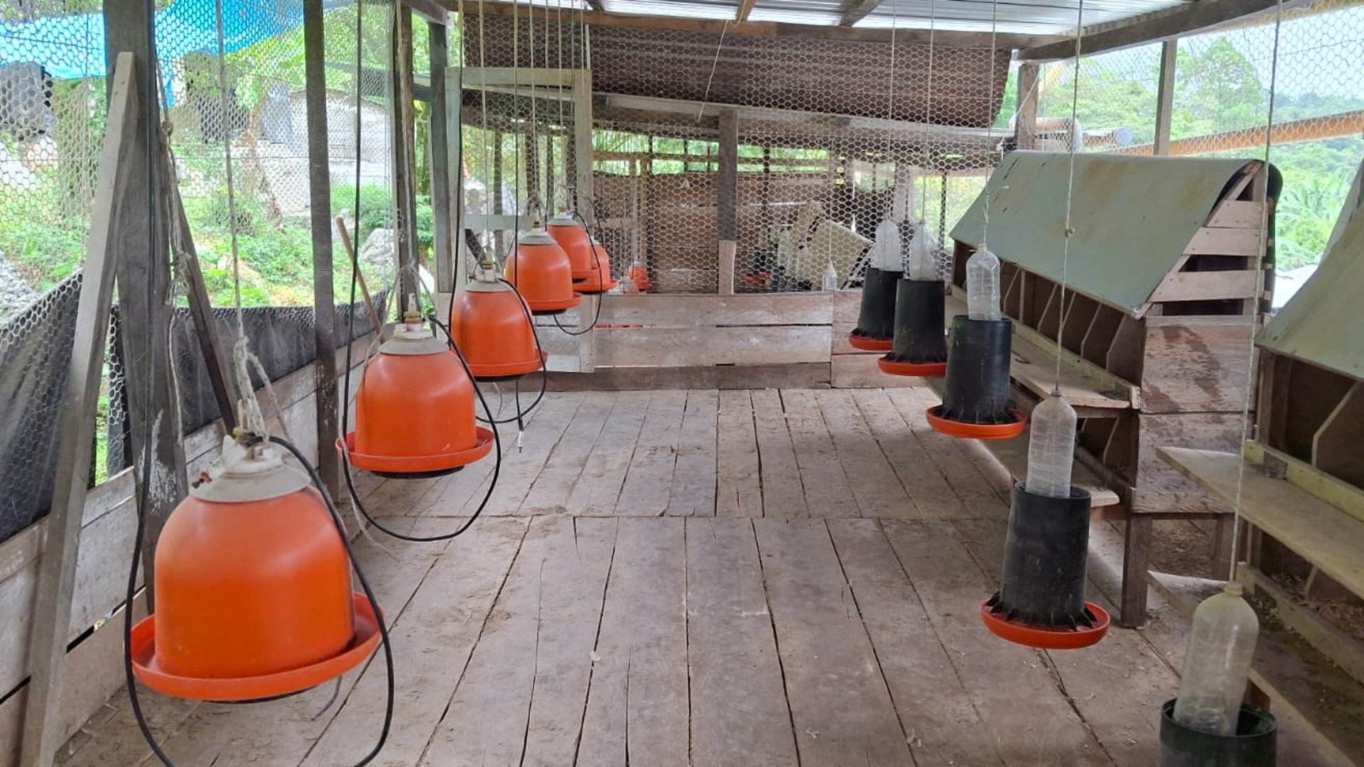 Granja en Venta en Cobán, Alta Verapaz  - Miniatura 20