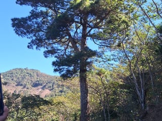 Terreno en Venta Santa Rosa de Lima - Image 9