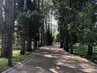 Terreno en VENTA en Santa Elena del Lago - 4