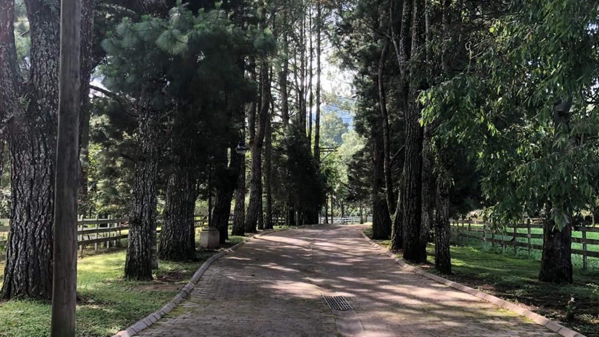Terreno en VENTA en Santa Elena del Lago - Miniatura 4