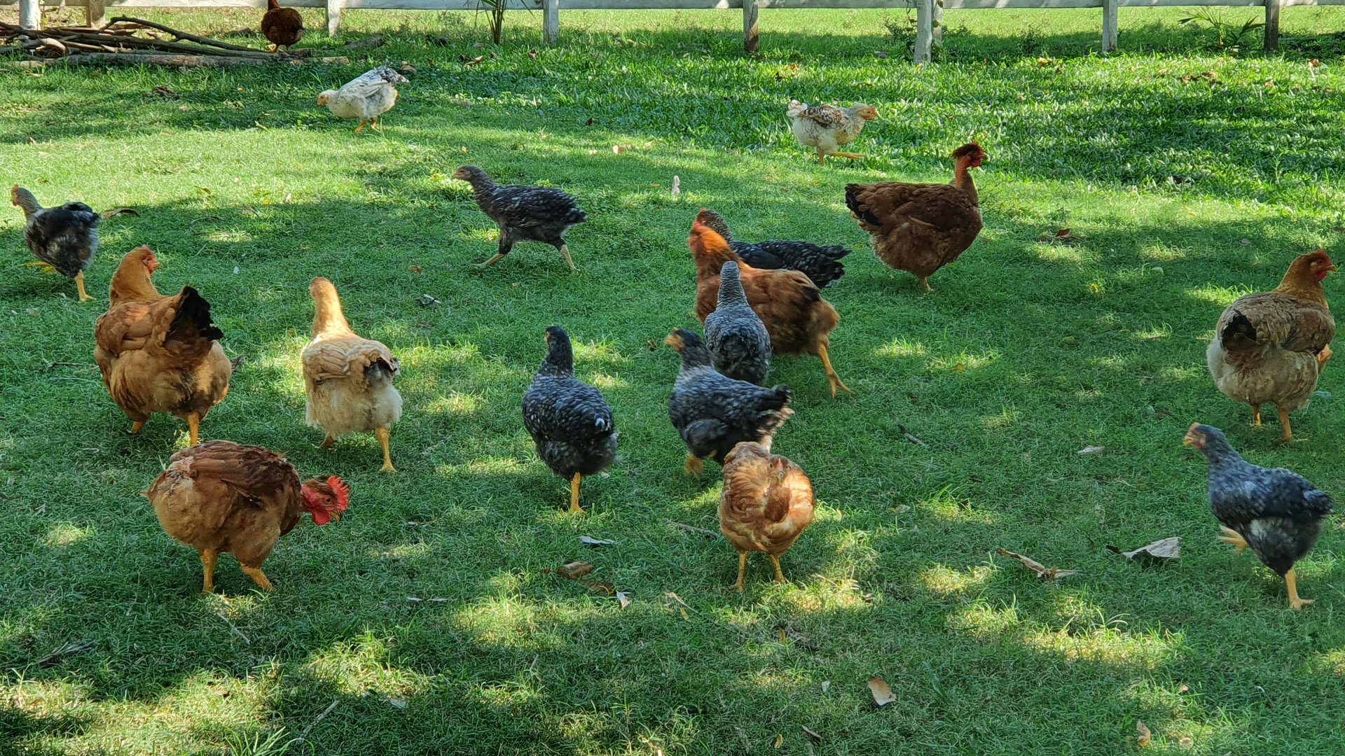 FINCA EN VENTA EN ALDEA EL SAUCE  - Miniatura 22