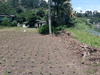 Terreno en Venta Km 36.5 Circunvalación Lago de Amatitlán  - 3