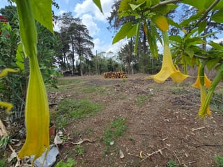 Lindo y Amplio Terreno En Venta - San Pedro Ayampuc - 5