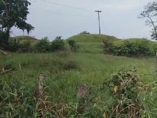 Finca en Puerto Barrios Izabal - 4