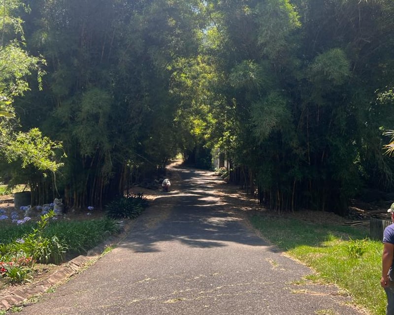Terreno en venta, Santa Rosalia km 12.5 carretera a El Salvador