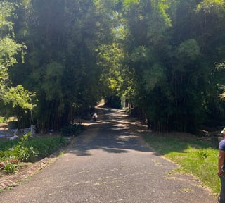 Terreno en venta, Santa Rosalia km 12.5 carretera a El Salvador