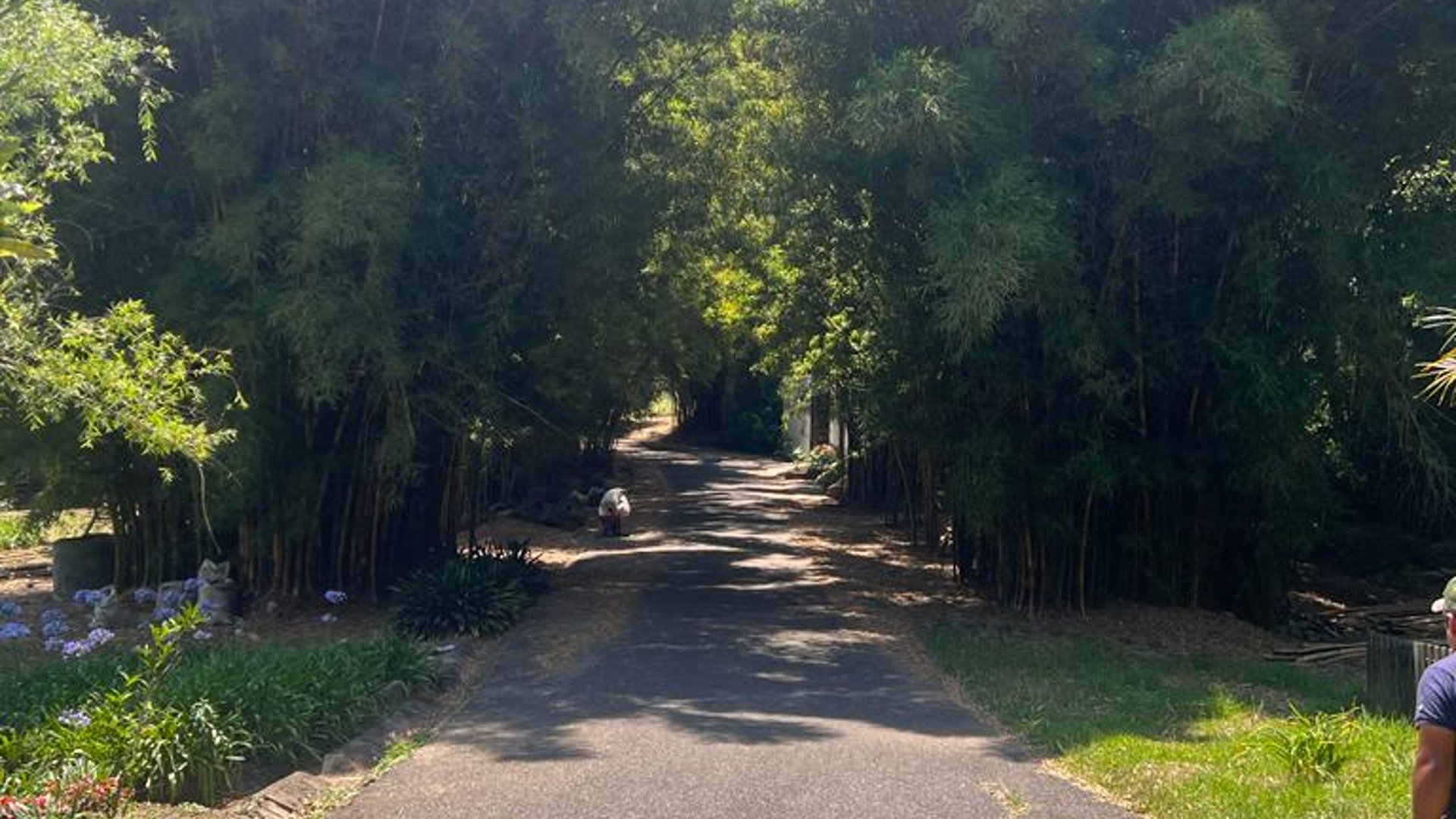 Terreno en venta, Santa Rosalia km 12.5 carretera a El Salvador