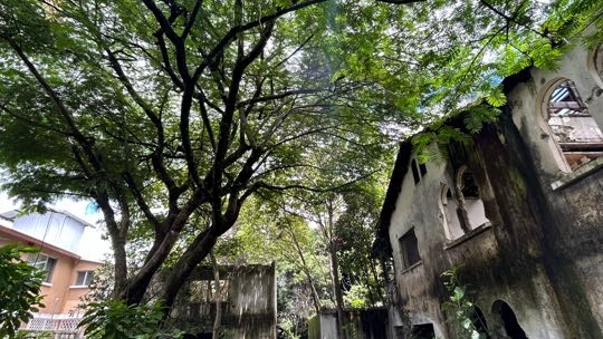 Vendo Terreno en zona 2 Ciudad Nueva - Miniatura 6