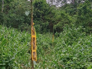 Terreno en Venta en Pichilingo, Pto Barrios, Izabal - 3