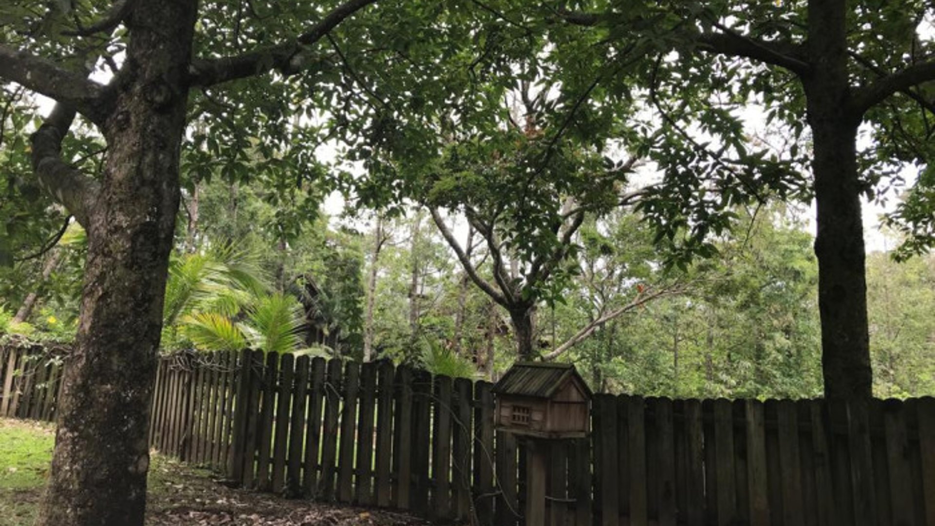 TERRENO EN VENTA CAMPO AVENTURA PALIN ESCUINTLA - Miniatura 10