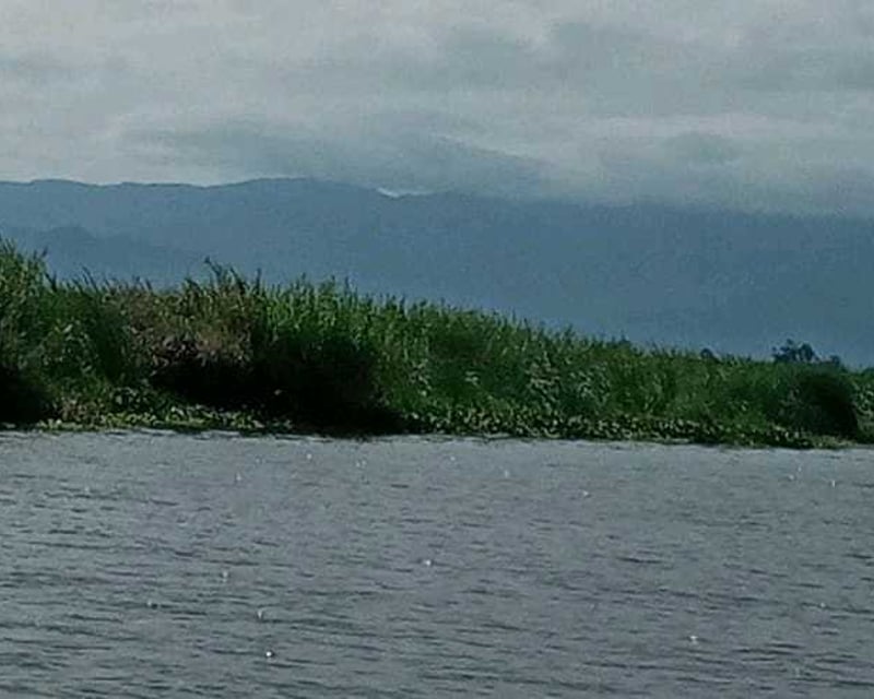 Vendo Terreno en El Estor Izabal