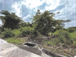 Vendo terreno en Km 77 Autopista Puerto Quetzal Quintas La Ponderosa - 3