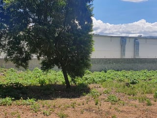 Terreno en venta, CES km 22.8 - 2