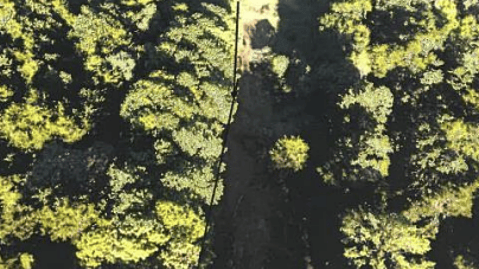 Terreno en VENTA en Puerta Parada Altamira Santa Catarina Pinula