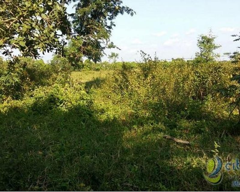Terreno en Venta en San Andres Villa Seca Retalhuleu