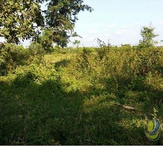 Terreno en Venta en San Andres Villa Seca Retalhuleu