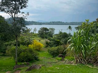 LAGUNA EL PINO TERRENO CERCA DE MANGOYA EN VENTA - 2