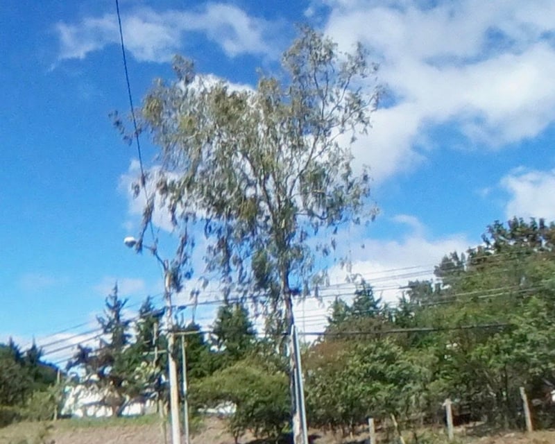 Terreno Comercial en Venta junto a Cascata – Zona 16