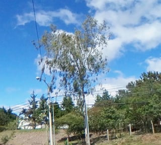 Terreno Comercial en Venta junto a Cascata – Zona 16