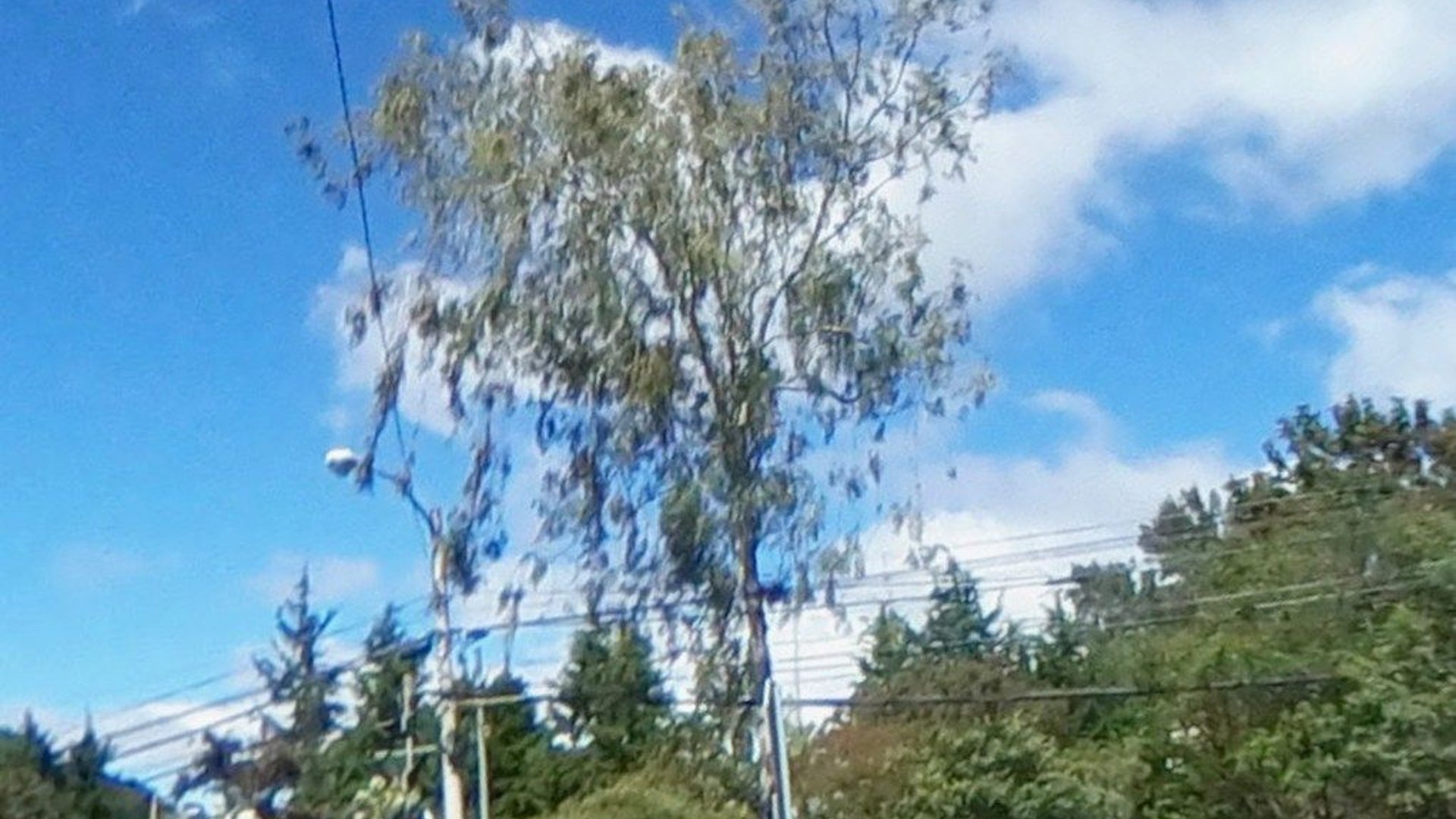 Terreno Comercial en Venta junto a Cascata – Zona 16 - Image 1