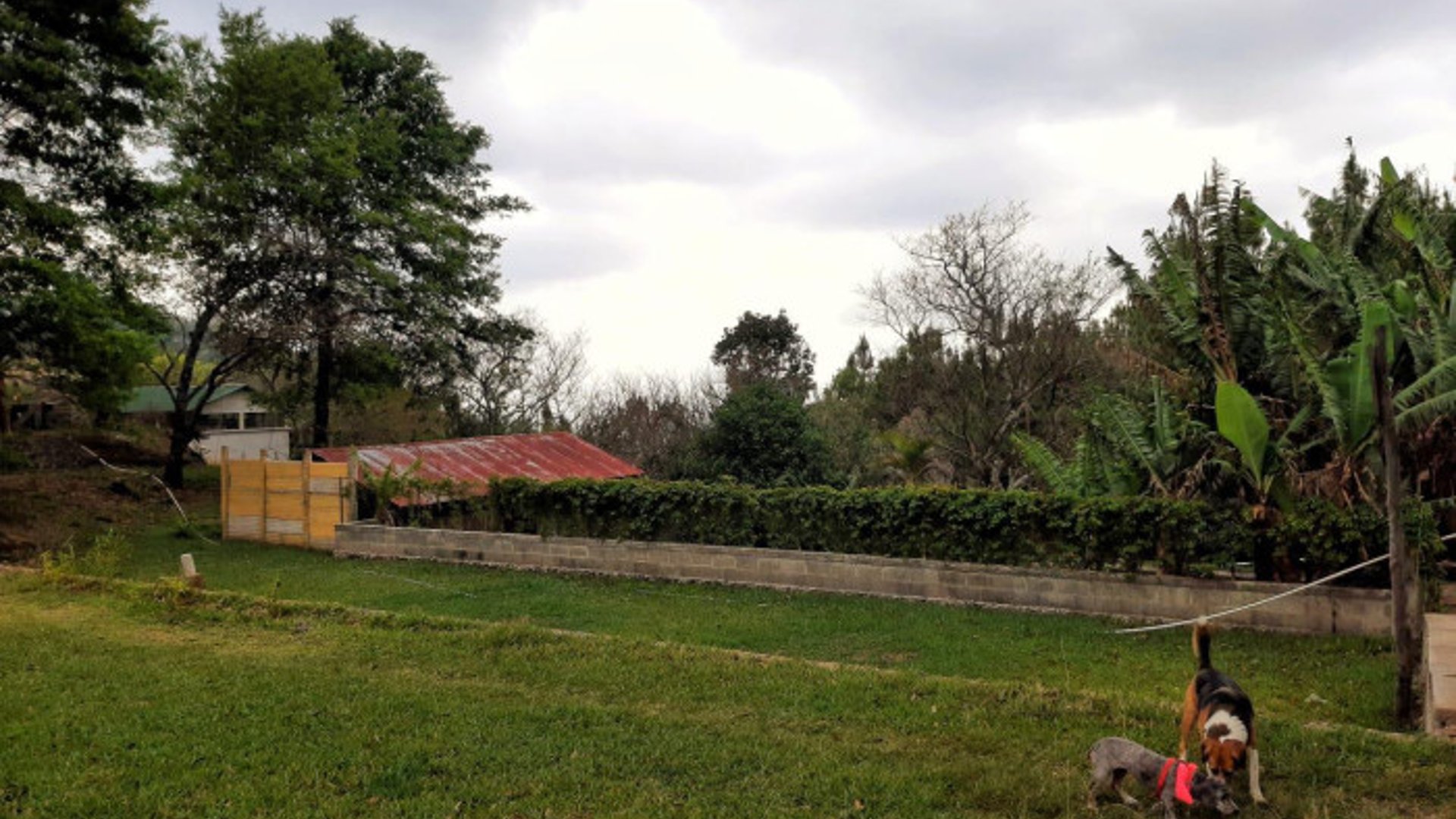 Terreno con construcción Venta/Renta Santa Rosa de Lima - Miniatura 11