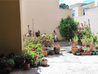 Casa en Venta en Residencial Cumbres de Arboleda, KM 21.5 CAES - 2