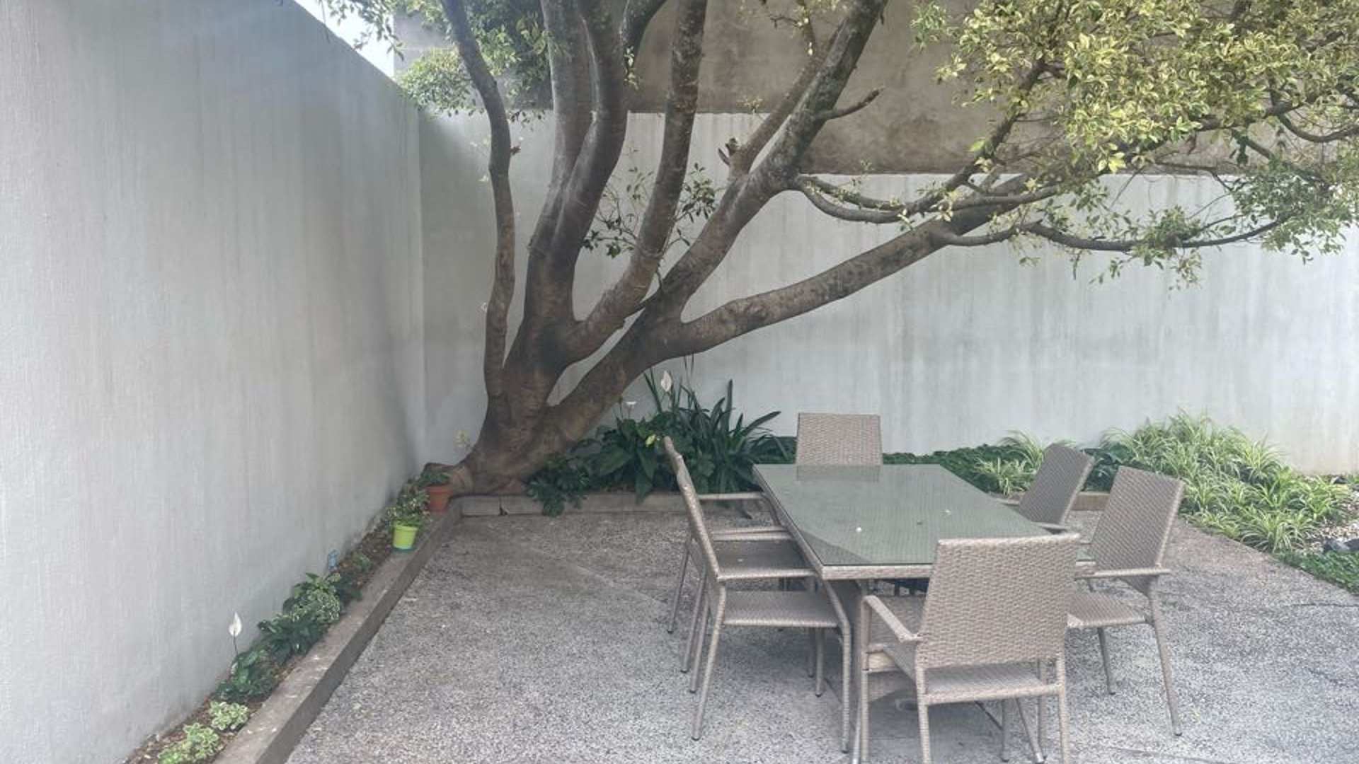 AMPLIA CASA  EN VENTA EN BALCONES DE SAN CRISTOBAL  - Miniatura 15