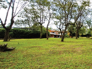 Terrenos en Venta, San Isidro zona 16 - 4