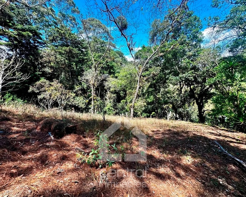 Terrenos en venta de diferentes tamaños en las Cumbres, zona 16