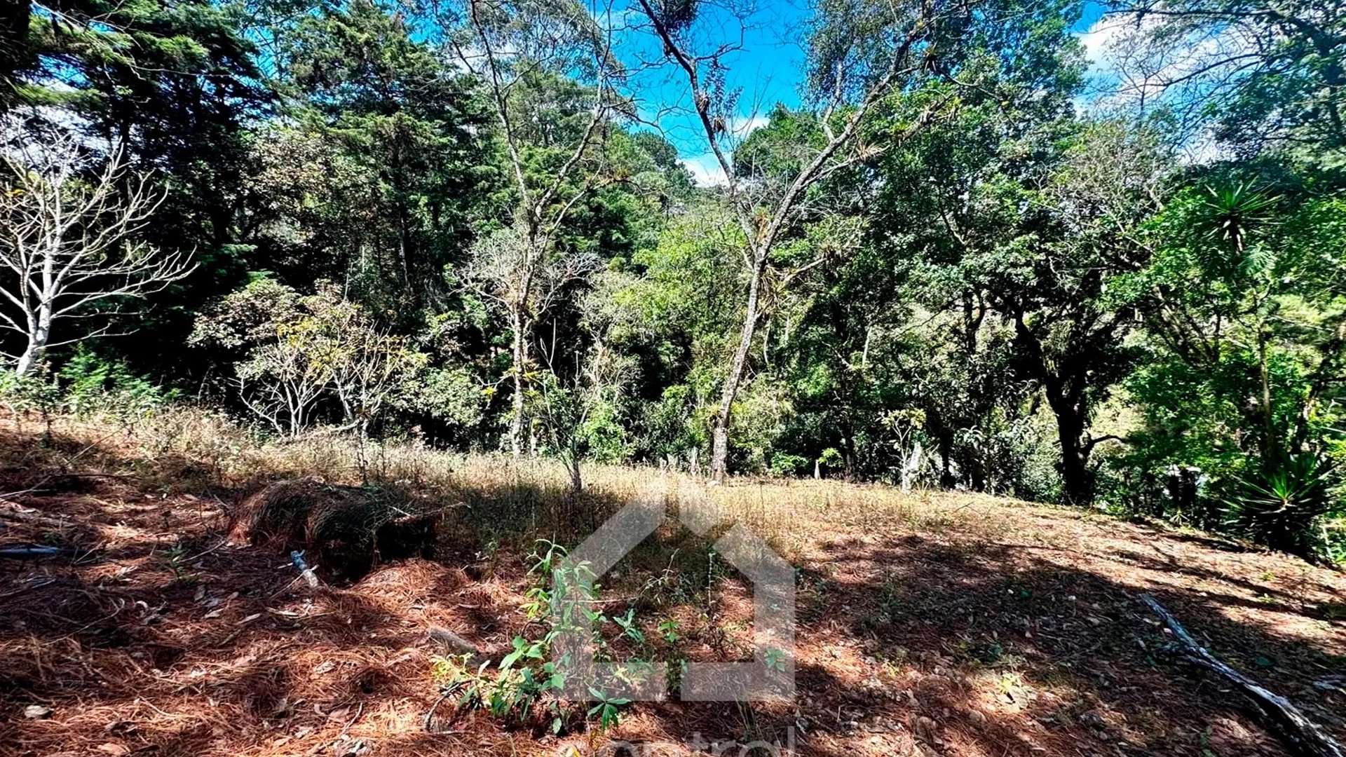 Terrenos en venta de diferentes tamaños en las Cumbres, zona 16