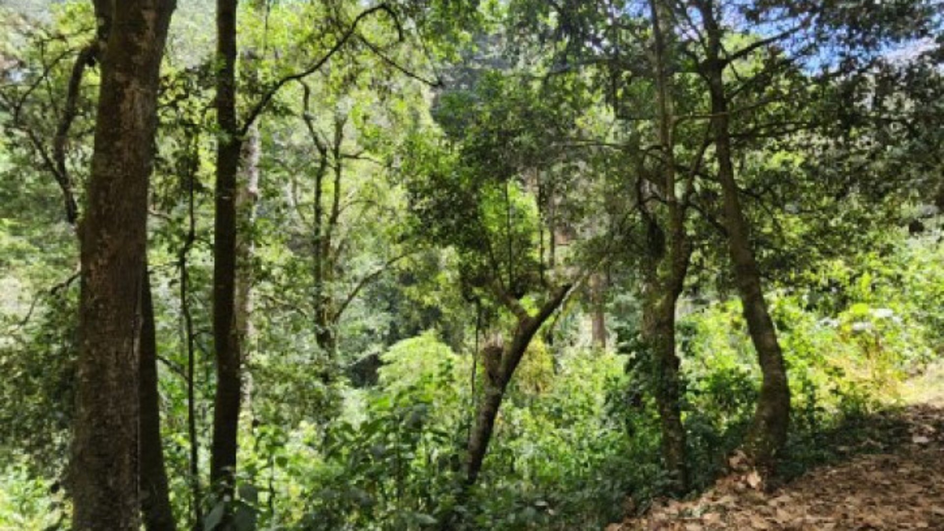 Terreno en Venta Santiago Sacatepéquez, Jardin El Alto - Miniatura 4