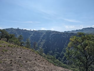 Km23 carretera Atlantico / Finca en venta - 5