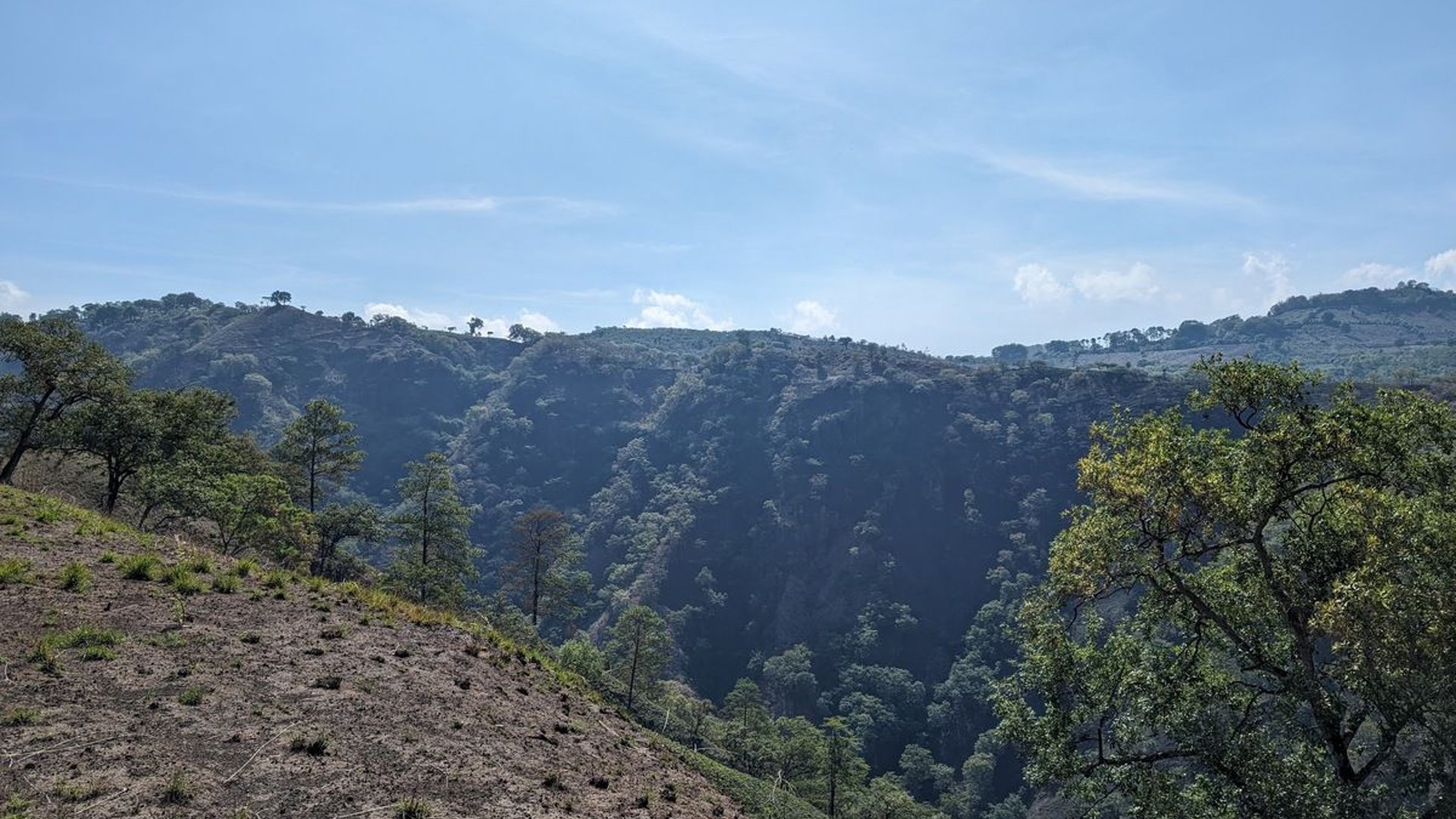 Km23 carretera Atlantico / Finca en venta - Miniatura 5