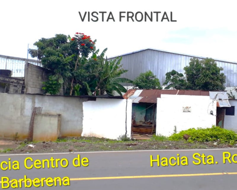 Terreno en Renta en Carretera Principal en Barberena