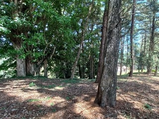 Terreno en venta, en San José Pinula - 5