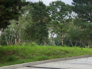 Terrenos en venta en Casa y Campo km 23.5 CES - 2