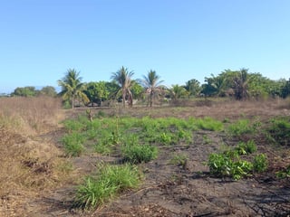 Terreno en venta camino a Monterrico - 4